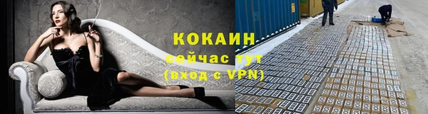 гидра Баксан